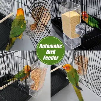 Hewan Peliharaan Burung Pengumpan Otomatis Starling Parrot Wadah