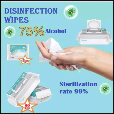 BOCOSO Alcohol Disinfection Hand Wipes Wet Tissue 80 pcs Wet Tissue Antibacterial Cleaning Care Disinfectant Wipe Sanitizer Kill germs