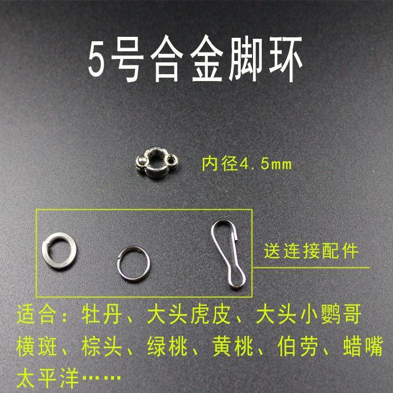 Vòng Đeo Tay Dây Xích Chân Chim Mynah, Chuỗi Vòng Chân Vẹt Bằng Thép Không Gỉ