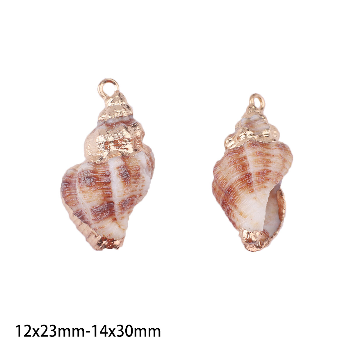 15 Styles 2pcs Natural Shell Pendant Conch Shell Charms Pendant Natural At Random For DIY Jewelry Necklaces Making Accessorie