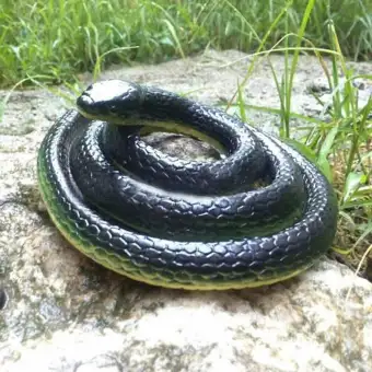 realistic snake toy