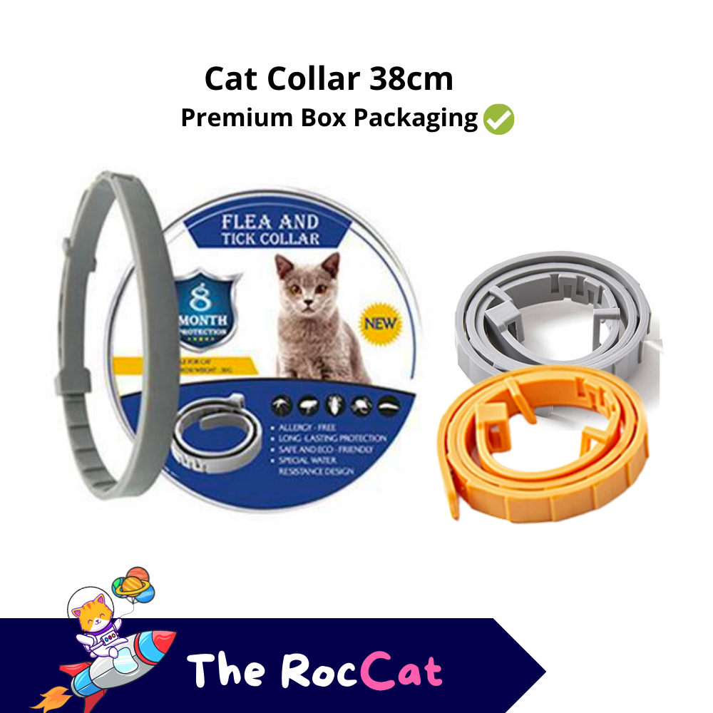 Essential oil flea clearance collar