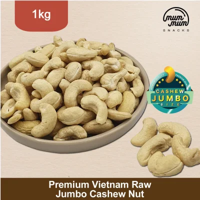 Premium Vietnam Raw Jumbo Cashew Nut [1kg]