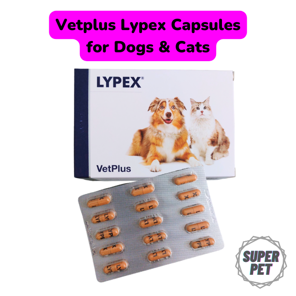 Lypex for Cats and Dogs 60 capsules Lazada