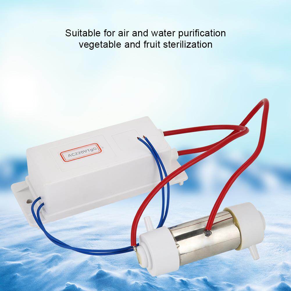 Air Ozonizer Generator Ozonator Ionizer Air Water Purifier Vegetable Fruit Sterilization Machine