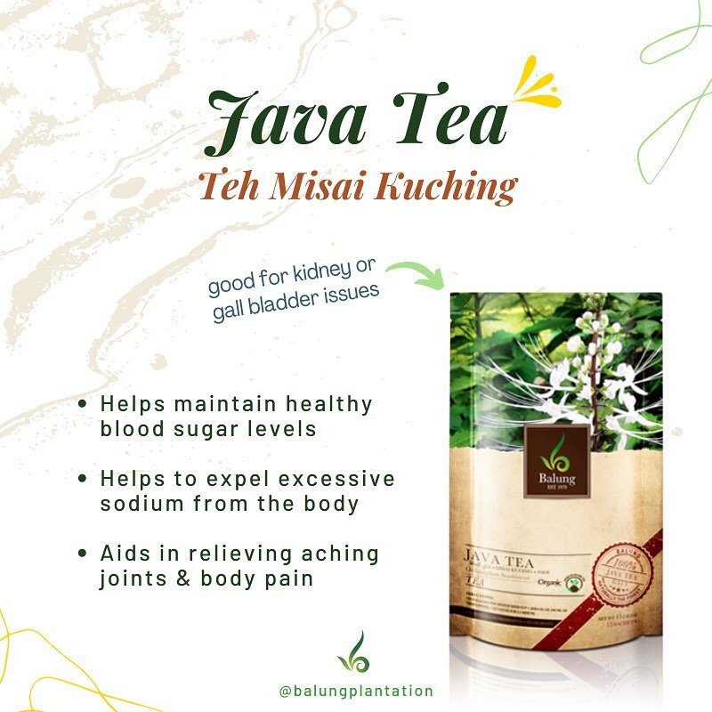 Balung Tea Moringa Java Teas Teh Misai Kucing Organic Gaharu Agarwood