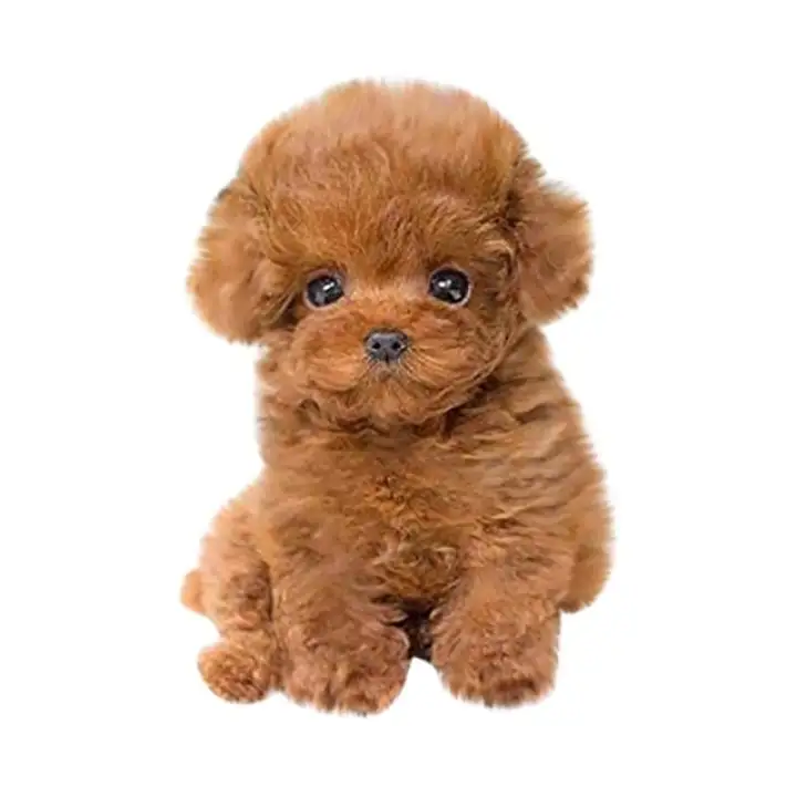 realistic puppy plush