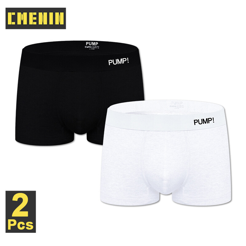 PUMP 2Pcs Mesh Cotton Comfortable Boxer Men Underware Trunks 2020 New Striped Sexy Mens Underwear Boxershorts Comfort 2020 New PU003