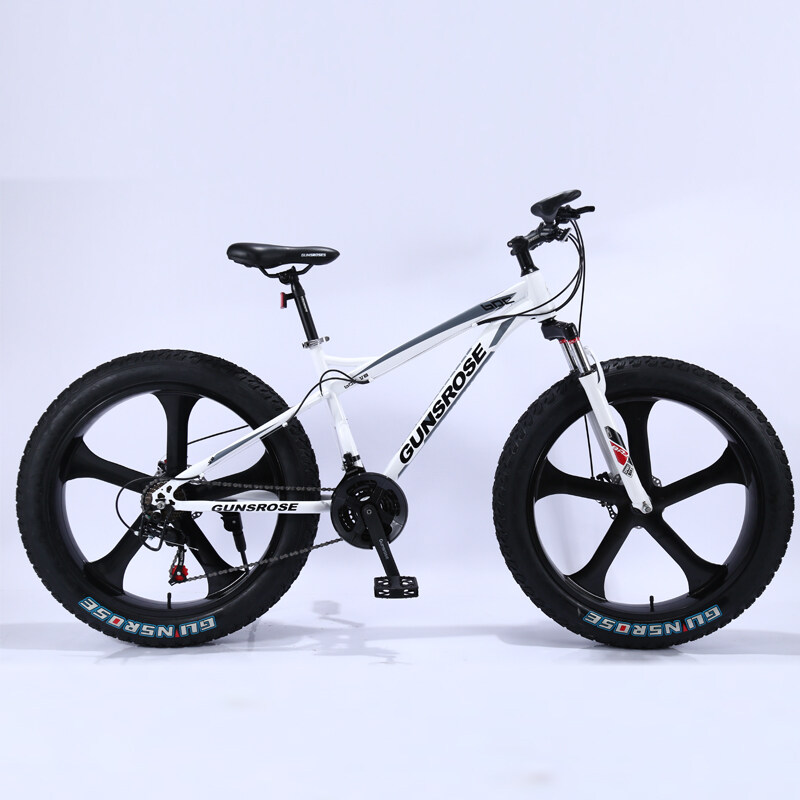 fat bike 4.0