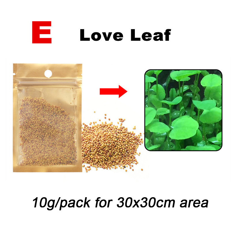 Teekland Aquarium Grass Plants Seeds 10g Aquatic Leaf Carpet Water Grass Beautifying Plant Seeds Fish Aquatic Water Grass Decoration