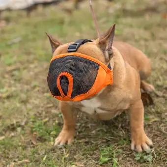 comfortable dog muzzle