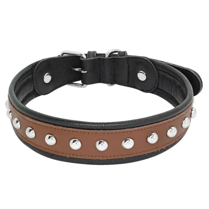 Rivet dog collar Clearance