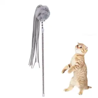 cat toys lazada