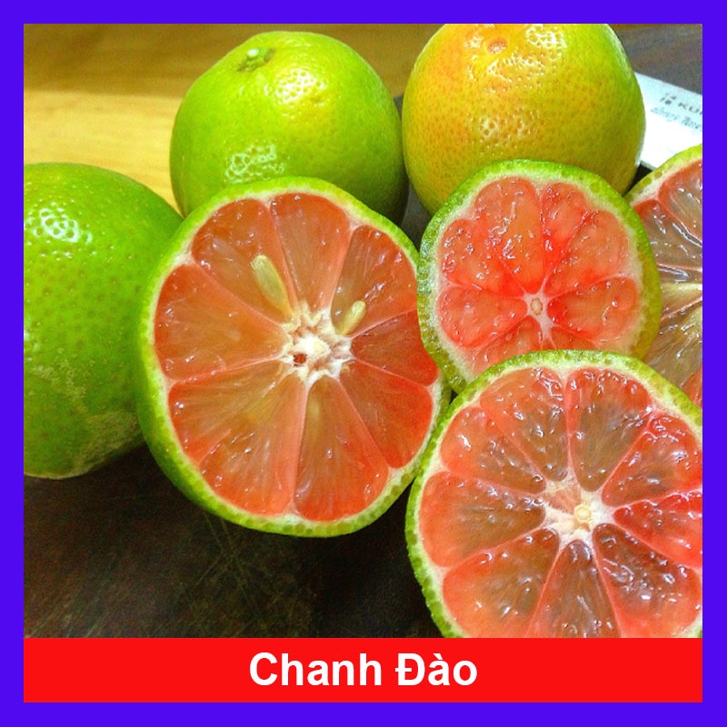 Cây chanh đào - rất thơm, mọng nước, ruột hồng