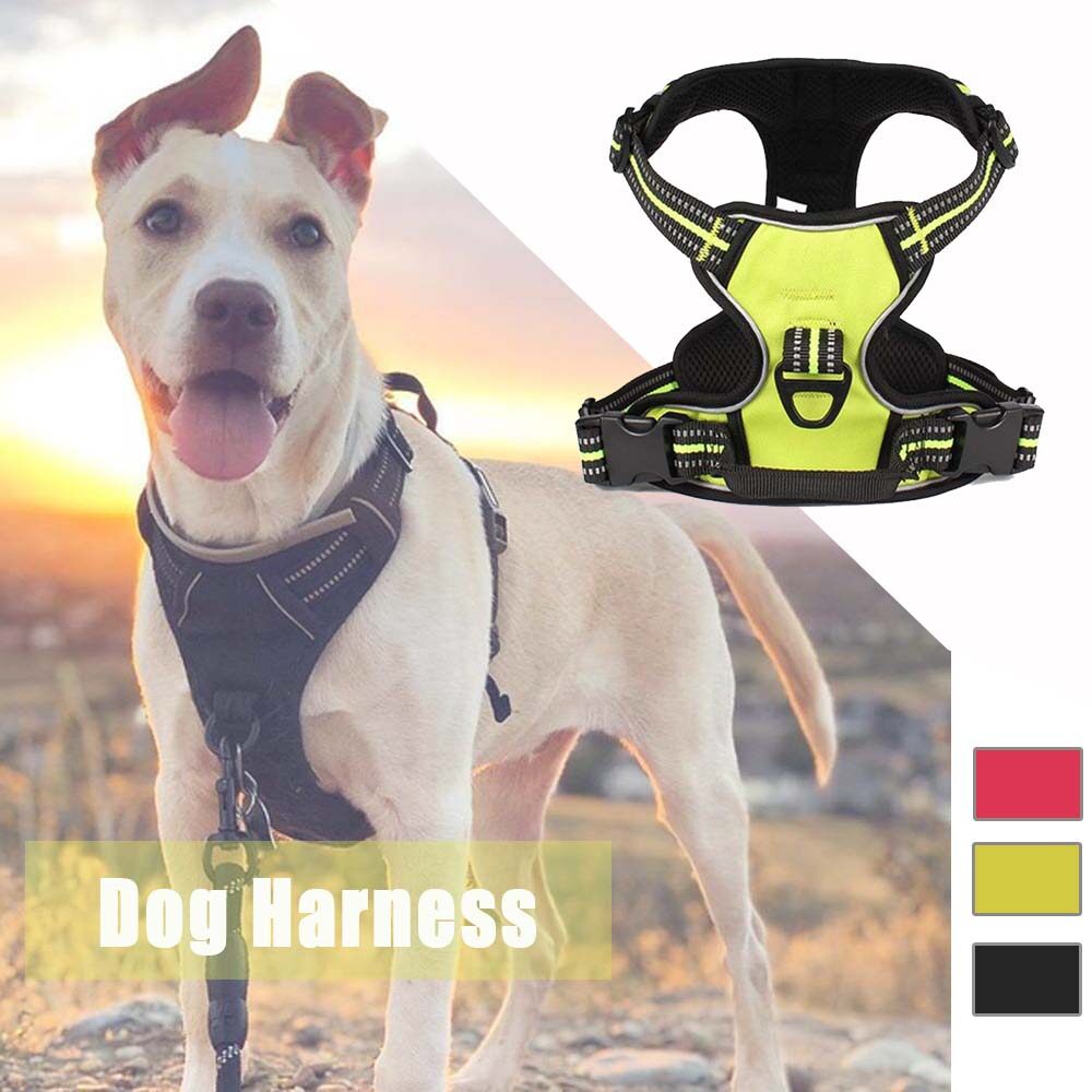 pet dog harness