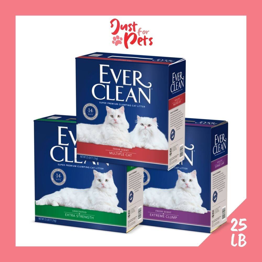 ever clean unscented