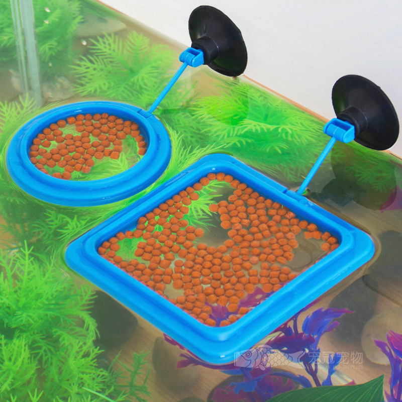 Bảy Master thức ăn cho cá ăn Vòng bể cá Feeder tập trung