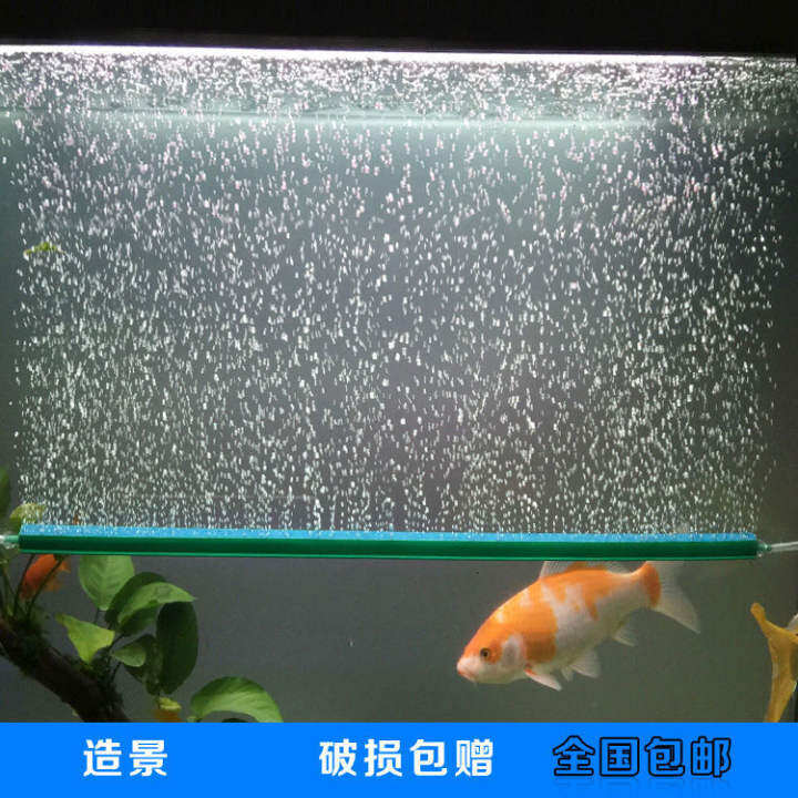 bubble curtain aquarium