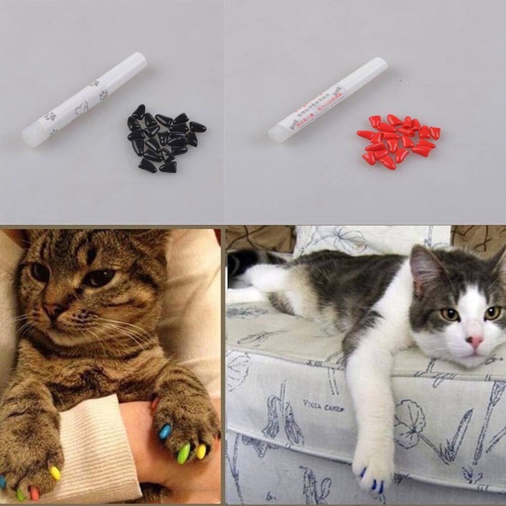 silicone dog nail covers