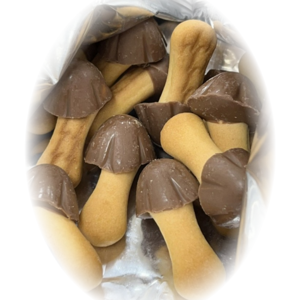 (Kích thước lớn) Bánh quy sô cô la Orion choco-songi