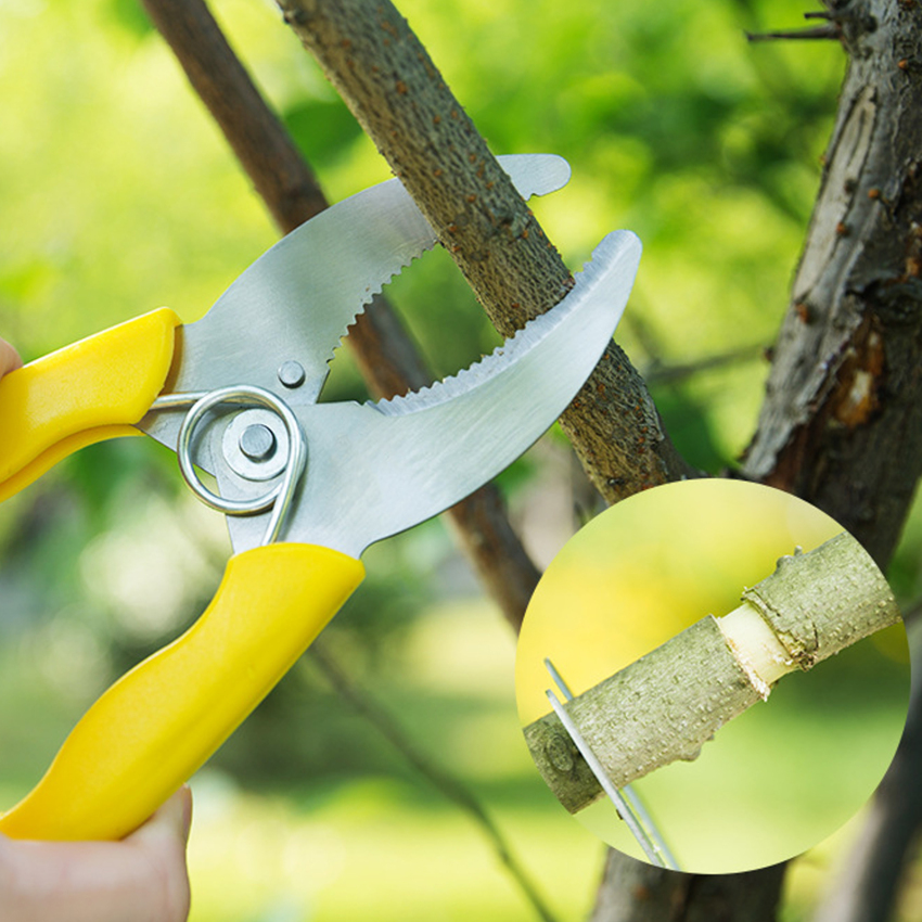 1pc Fruit Tree Ring Cutting Shears Stainless Steel Gardening Pruning Shears Cutting Bark Ring Peeling Scissors Garden Tools