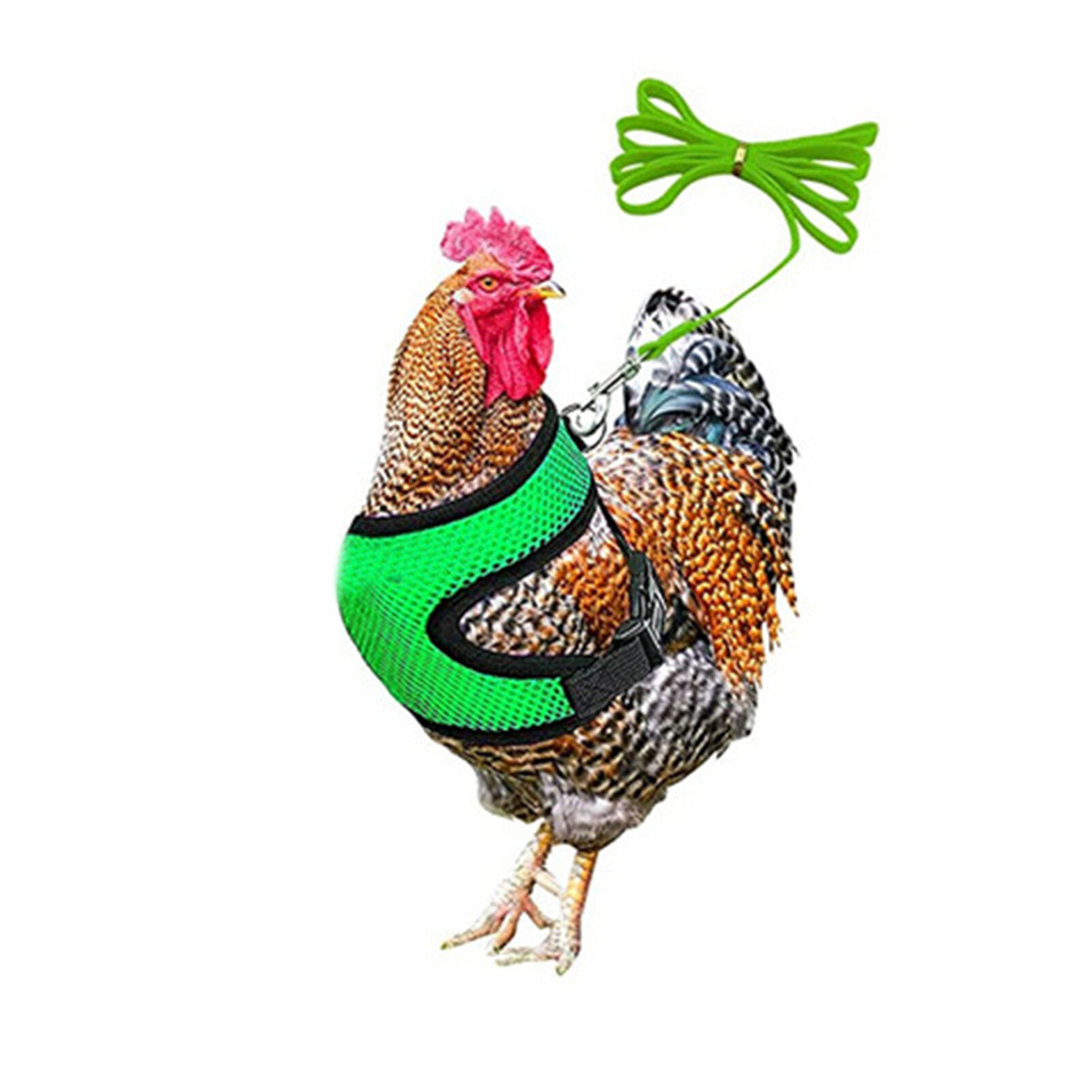 huanhuang 1 Set Chicken Harness with Leash Breathable Adjustable Chicken Duck Poultry Vest for Backyard