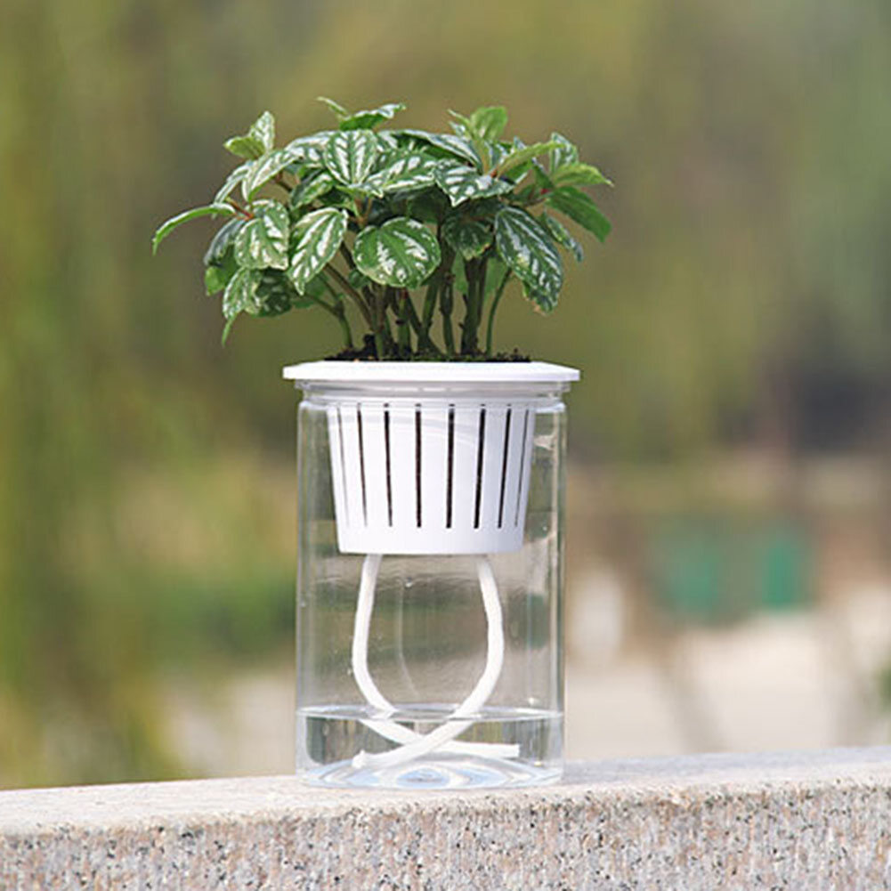 Gloryworld Clear Automatic Water Absorption Self Watering Hydroponic Flower Pot Planter