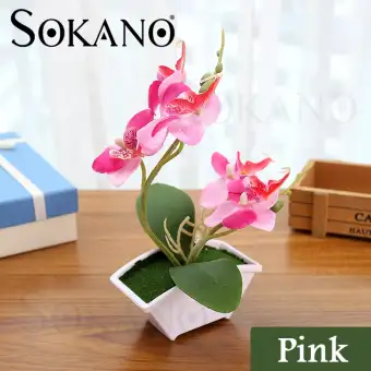 Cny 2020 Sokano Butterfly Orchid With Flowerpot Potted Artificial