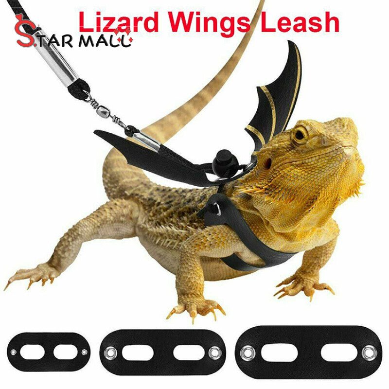Demeis Lizard Leash Reptile Harness For Outdoor Pet Chameleon Squirrel Supplies