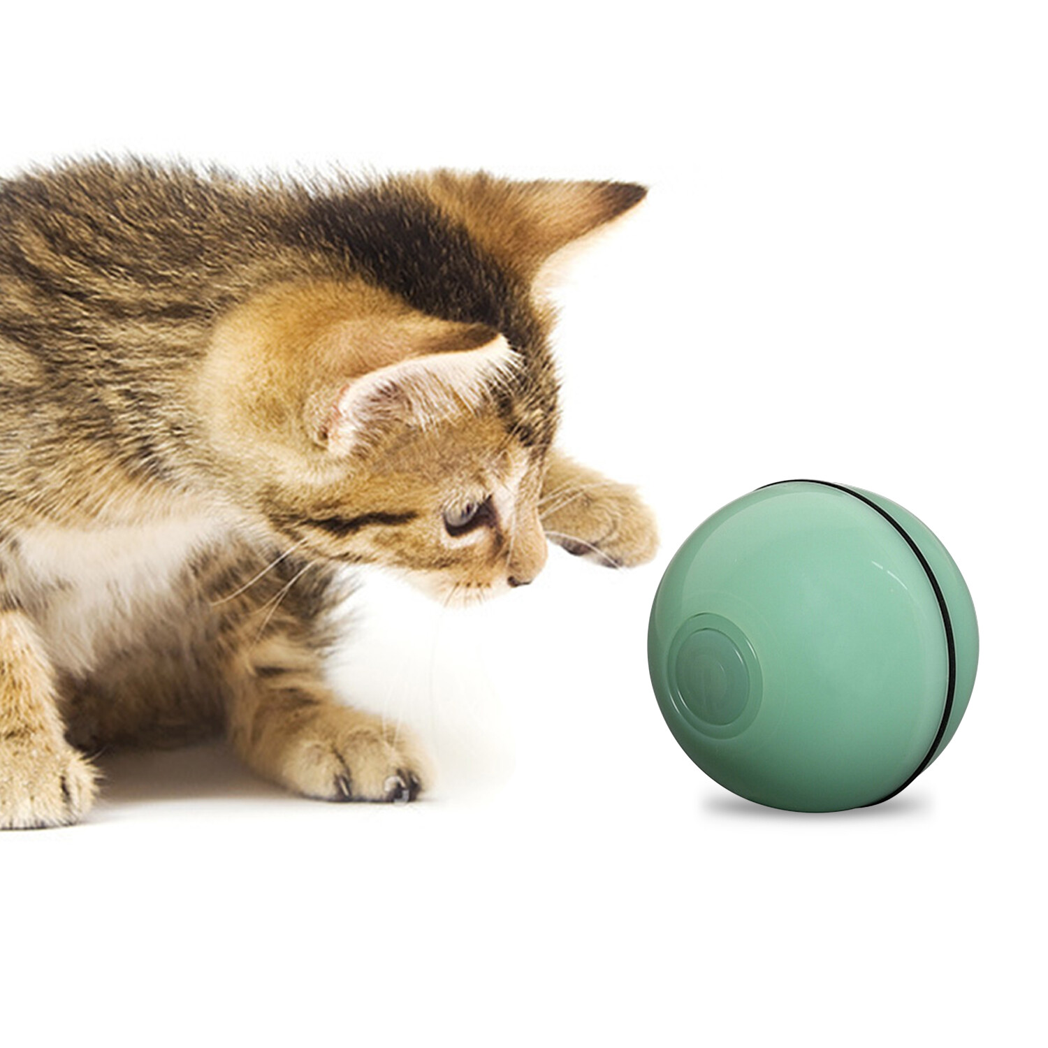 self rolling ball for cats