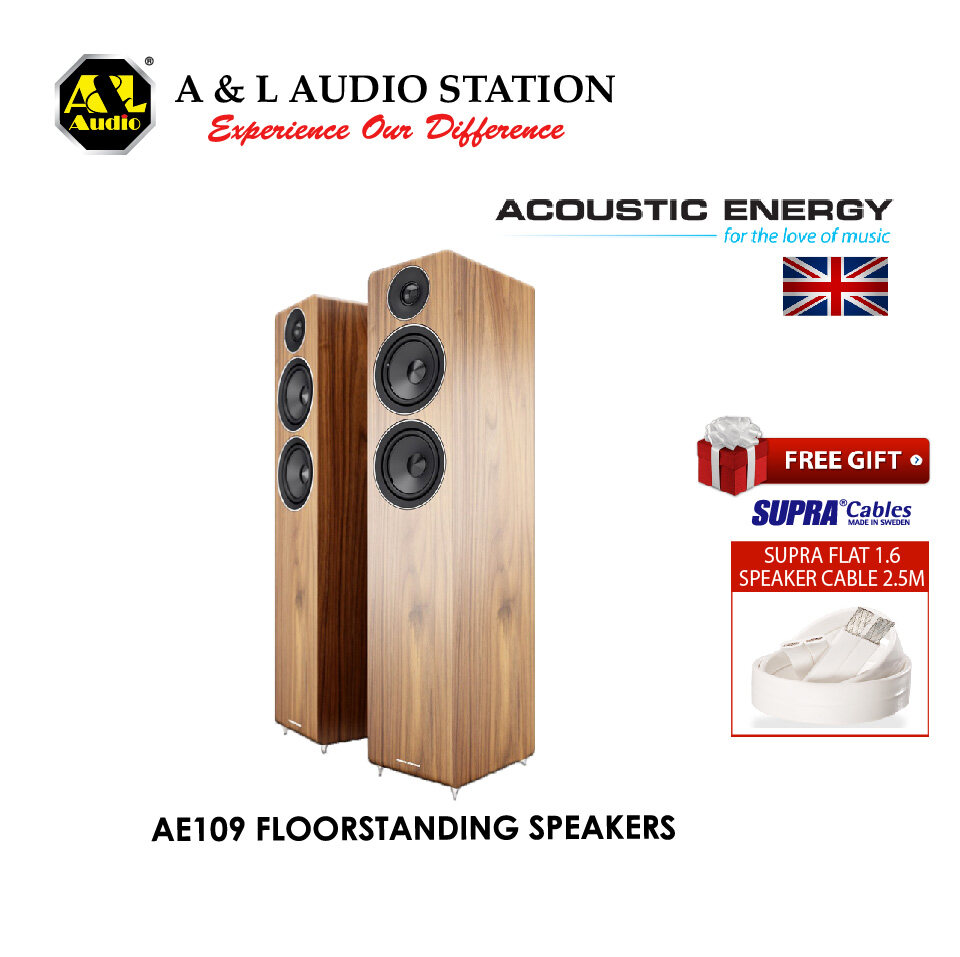 acoustic energy ae109 price