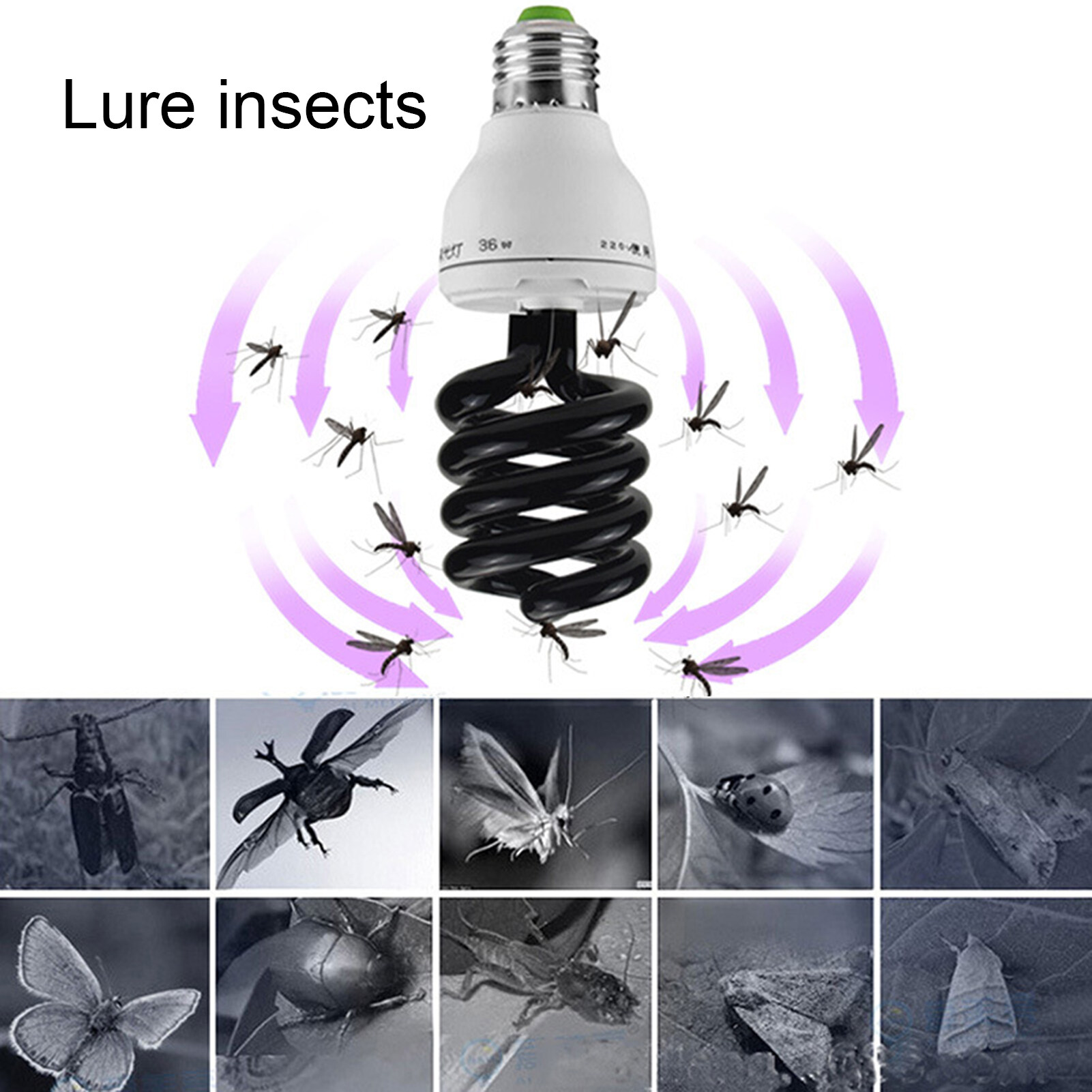 Đèn Bẫy Côn Trùng Terylin, Bóng Đèn Trang Trí 220V Đèn Huỳnh Quang Tia Cực Tím UV Xoắn Ốc Bằng Kim Loại Để Thu Hút Côn Trùng