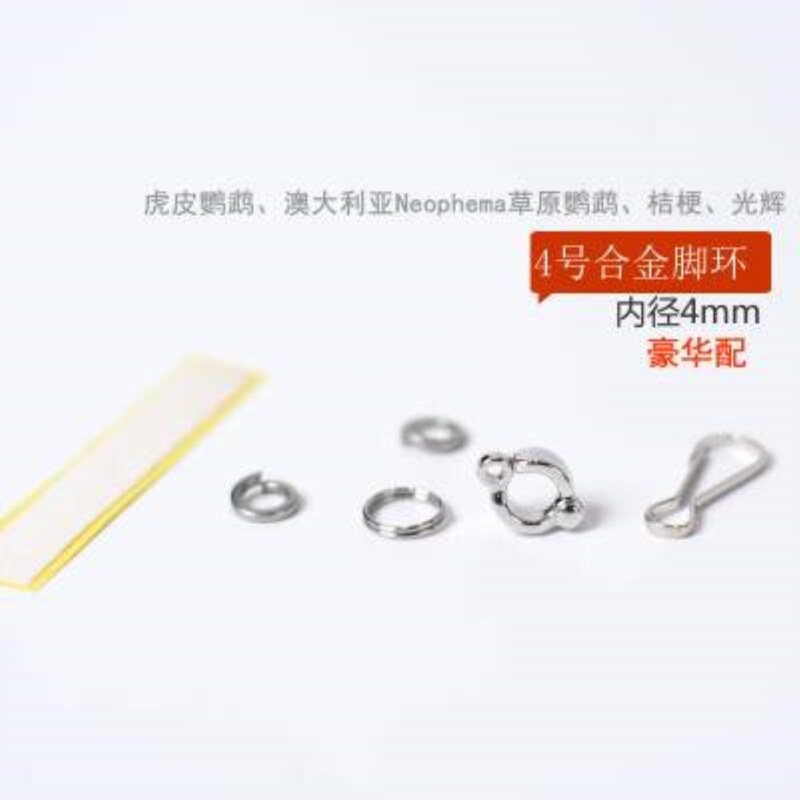 ▼Rots Vẹt Bay Hổ Với Dây LiuNiao Chống Lại Chim Hoa Mẫu Đơn Đào Tạo Đường Bay Vòng Chân Vẹt Vòng Chân