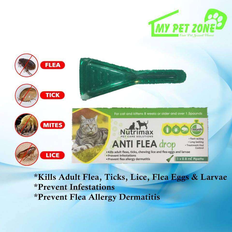 Anti flea shop drops for cats