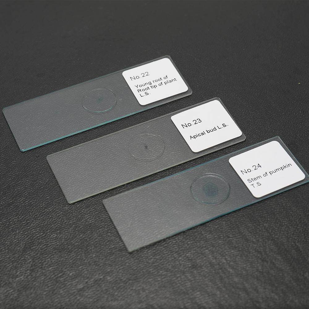 25PCS/Set Biological Glass Sample Prepared Basic Animal Plants Insects Tissues Science Specimen Cover Slips Portable Educational Microscope Slides