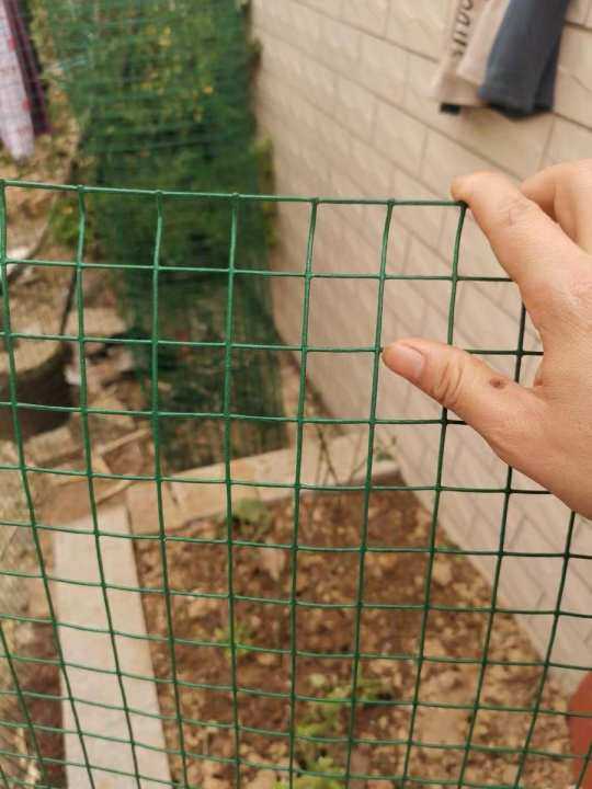 Pvc Coated Green Wire Mesh For Vertical Garden Gardening Fencing Plant Support Per Roll Or Meter Lazada - Vertical Garden Wire Mesh Pvc Coated Green Wire Mesh For Vertical Garden Gardening Fencing Plant Support Per Roll Or Meter Lazada - Vertical Garden Wire Mesh