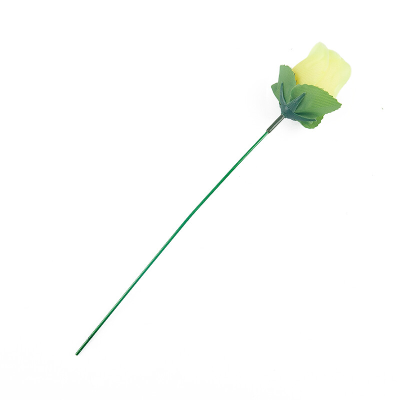 Kcy trò ảo thuật Rose vui vẻ hiện tại ngọn đuốc thay đổi hoa hồng trò ảo thuật S mới lạ bất ngờ