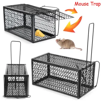 mouse catching cage