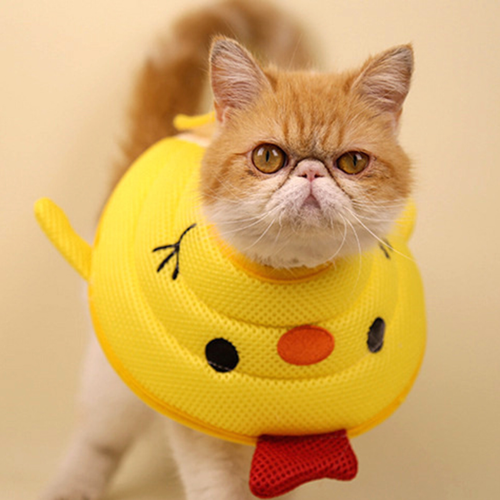 Aixuexi Cat Cone Collar Comfortable Prevents Biting Licking Adjustable Breathable Cat Collar for Post-Surgery or Injuries