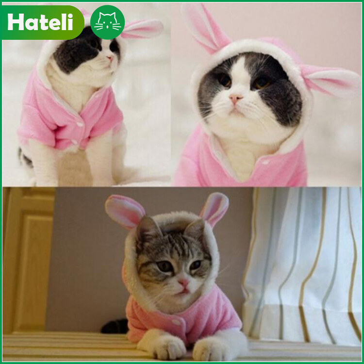 【HATELI】Rabbit Style with Big Ears Pet Cat Puppy Cotton Coat Warm Dog Clothes Chihuahua Pug Jackets Hoodie