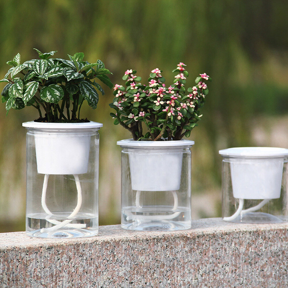 Terylin Clear Automatic Water Absorption Self Watering Hydroponic Flower Pot Planter