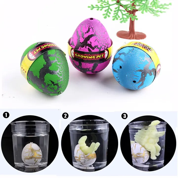 dinosaur egg toy in water