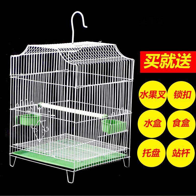 large bird cage online