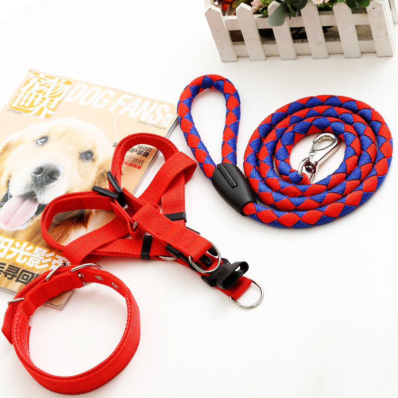 chain leash for small dog