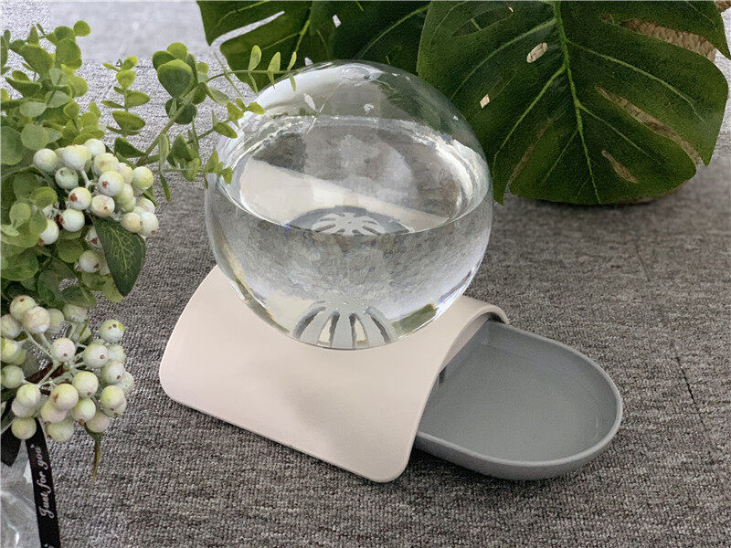 Bình Rót Nước Hình Cầu Cho Chó Mèo, Bình Rót Nước Tự Động Cho Chó Mèo Pha Lê