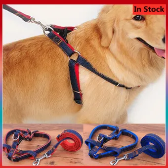 dog walking collars for pulling