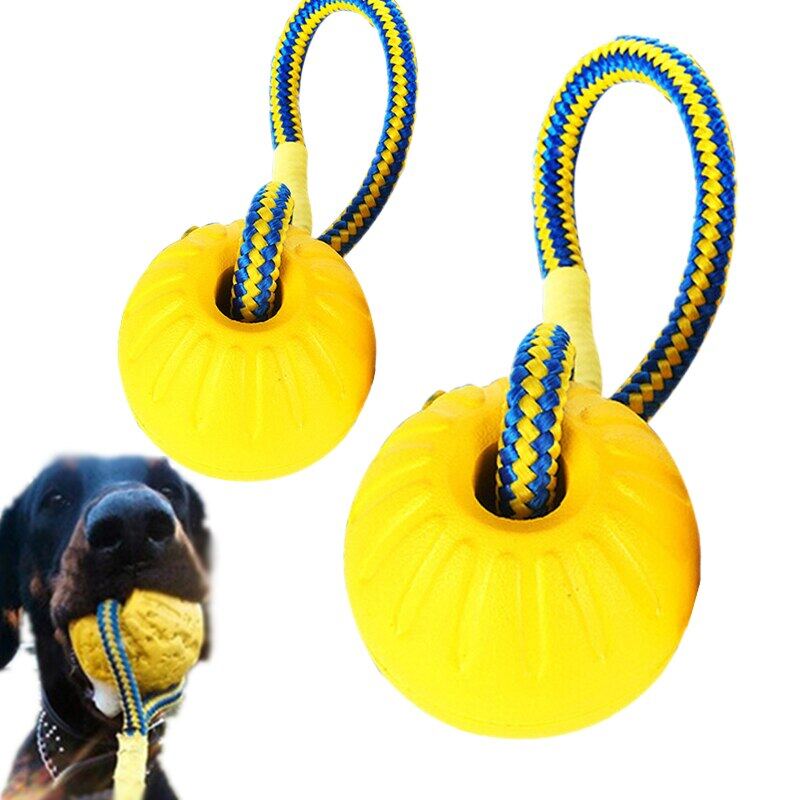 Are Nylon Rope Toys Safe For Dogs