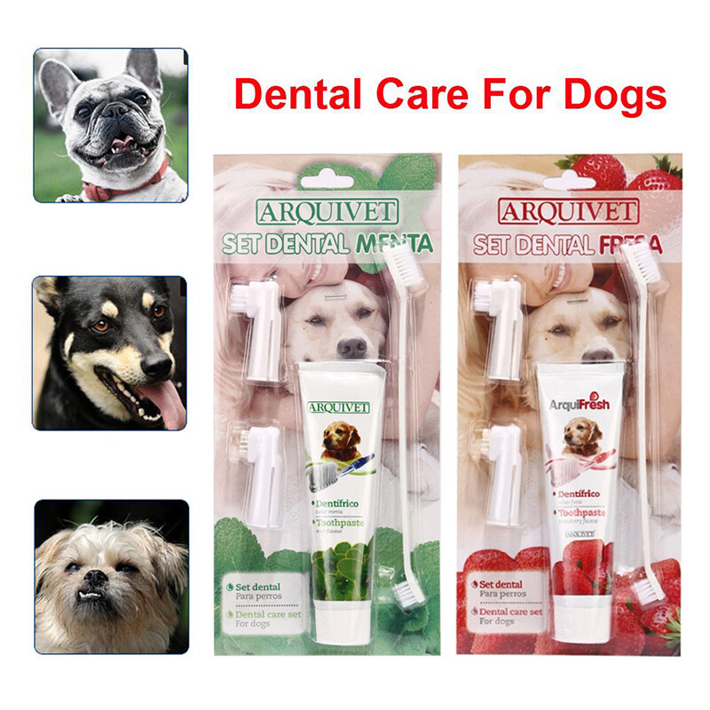 Pet Tooth Cleaning Kits Tooth Brushes and Toothpastes for Cats and Dogs Pet Teeth Care Supplies Mint
