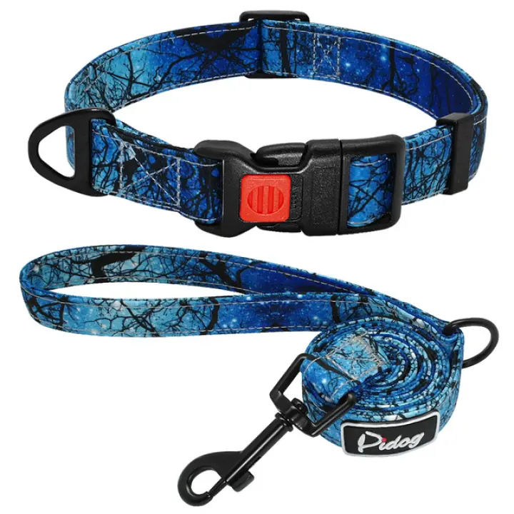 puppy collar leash