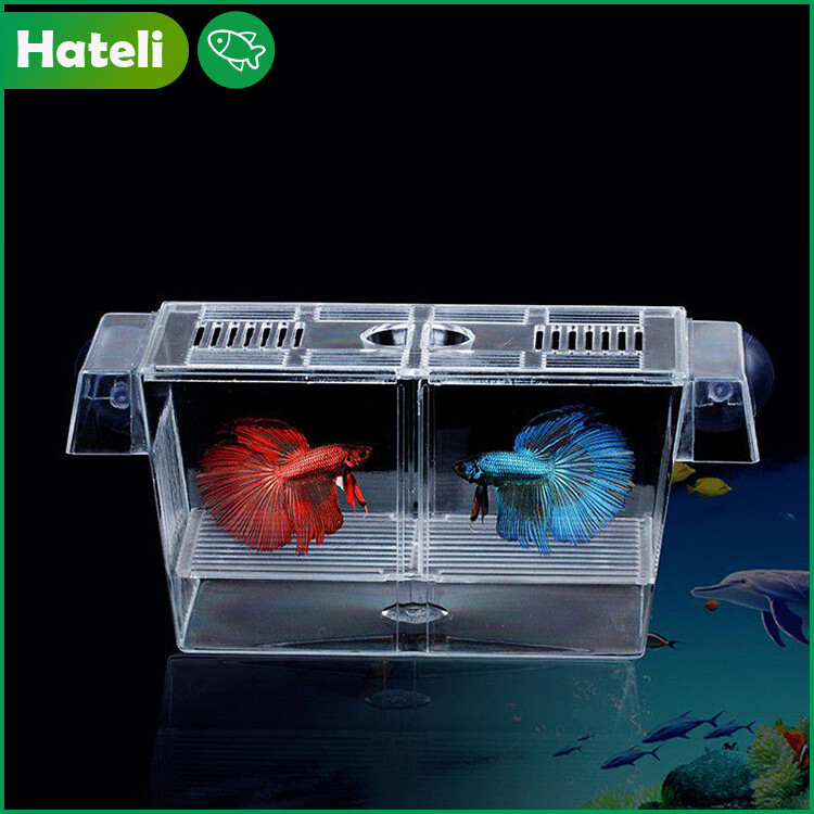 【HATELI】Aquarium Tanks Self-floating Incubator Double-layer Incubator Aquarium Isolation Box Fighting Fish Box Breeding Box